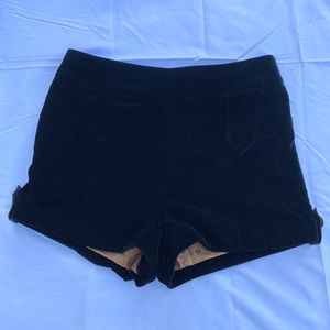 Black L.A.M.B velvet shorts